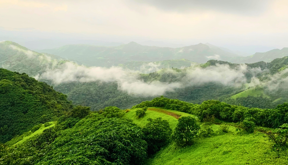 4-Day Western Ghats Wildlife Circuit from Coimbatore